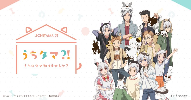 Uchi Tama?! ~Uchi no Tama Shirimasenka?~
